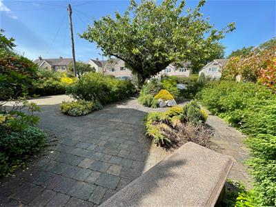 Picture 23